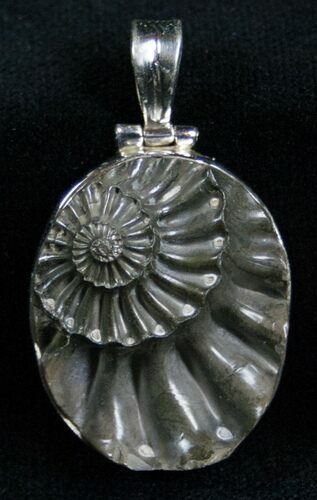 Pyrite Ammonite Pendant - Sterling Silver #7032